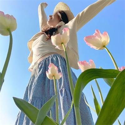 特务突击队海报